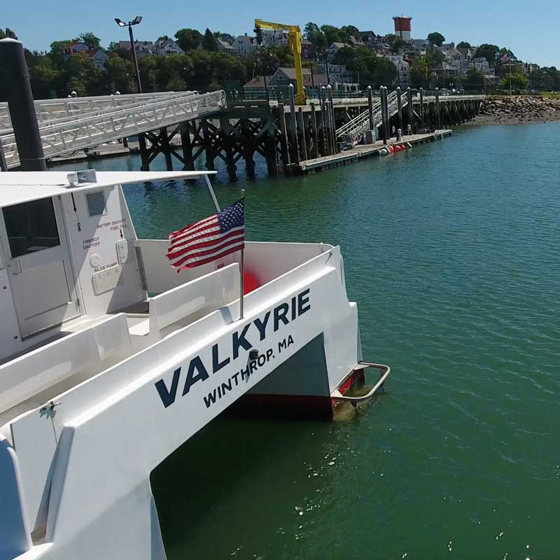 marina bay ferry group sales